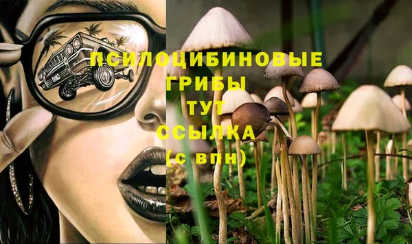 таблы Надым