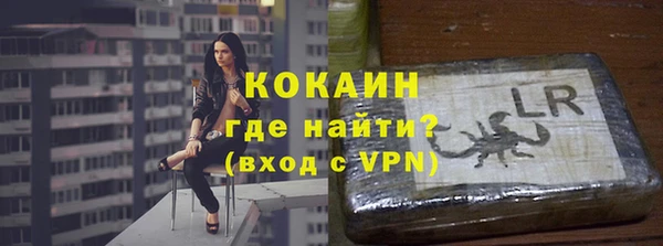 PSILOCYBIN Навашино
