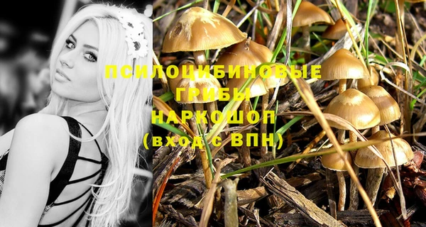 PSILOCYBIN Навашино