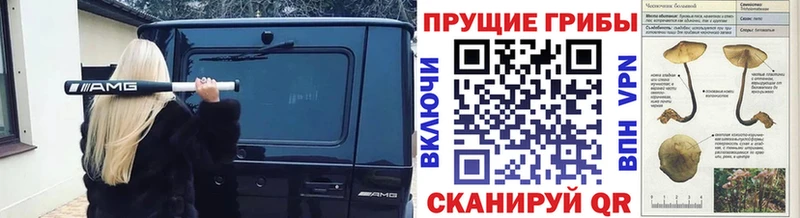Галлюциногенные грибы Psilocybine cubensis  гидра онион  Олёкминск  цена  
